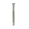 Simpson Strong-Tie 12G x 65mm TX Deck Screw - 250 Pack-316 Stainless steel