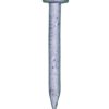 30 x 3.15mm Galvanised Loose Nails 5kg