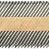 Kiwinail  65x2.87mm D head 304 Stainless steel collated nails 1000PCS