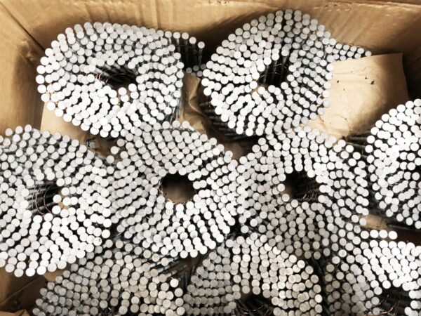 Kiwinail 3.15X 75mm Jolt head Weatherboard Galv coil Nails (3000pk )