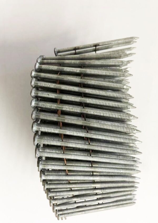 Kiwinail 3.15X 75mm Jolt head Weatherboard Galv coil Nails (3000pk )